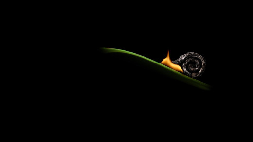 762687 (a): :1920x1080